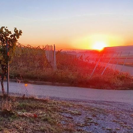 Weingut Will Und Wuerz Lemberger Apartman Schwaigern Kültér fotó