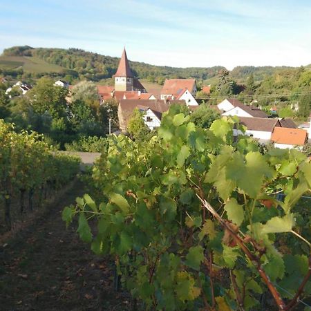 Weingut Will Und Wuerz Lemberger Apartman Schwaigern Kültér fotó