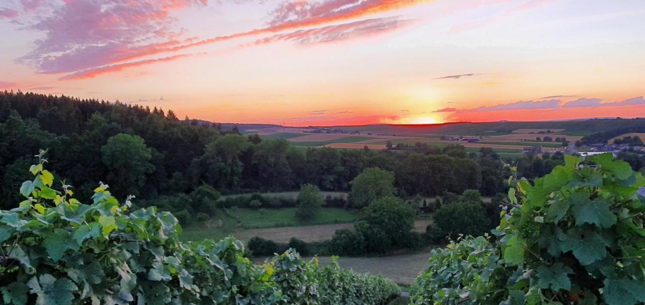 Weingut Will Und Wuerz Lemberger Apartman Schwaigern Kültér fotó