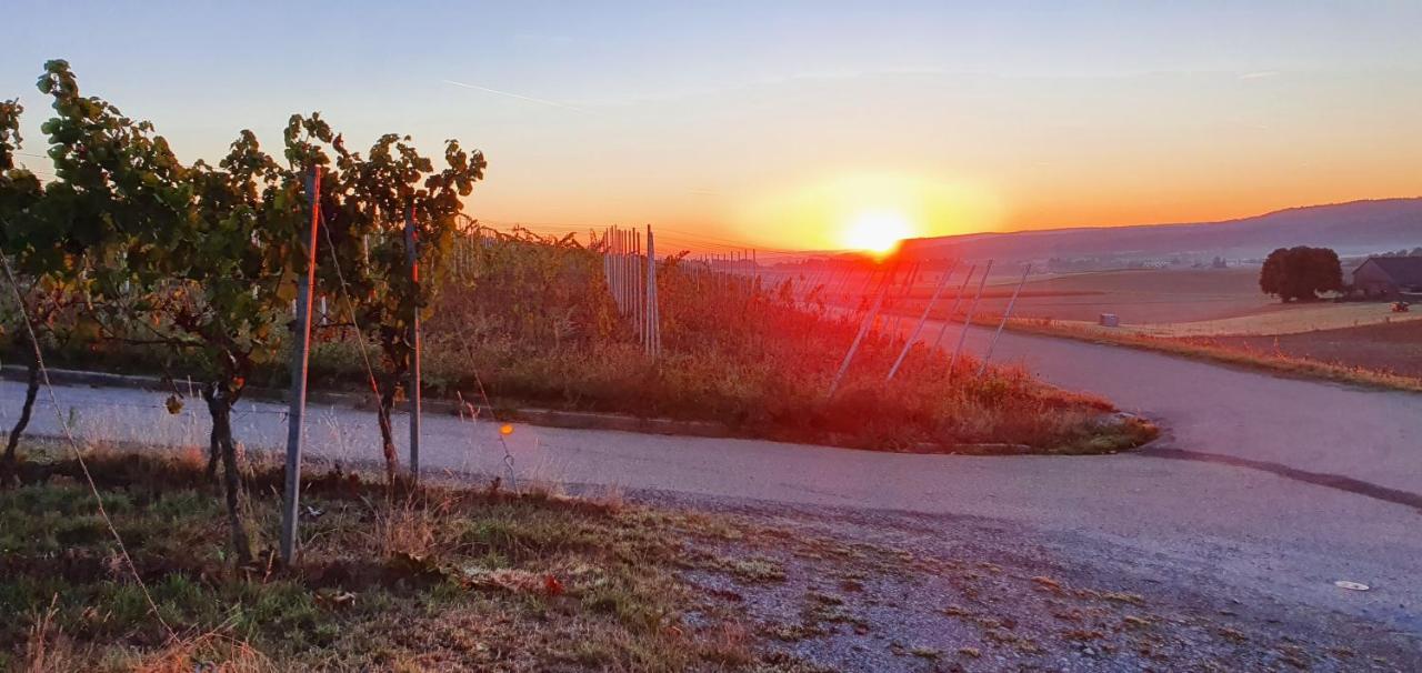 Weingut Will Und Wuerz Lemberger Apartman Schwaigern Kültér fotó